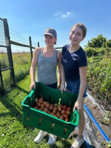 Members volunteering at LaFarm